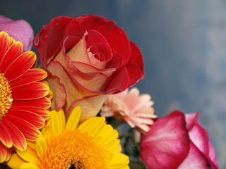 Fototapeta premium bouquet de fleurs