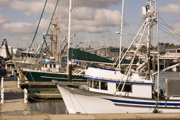 Fototapeta premium Fishing Boats at Marina
