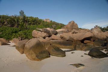 Fototapeta na wymiar Seychelles, La Digue, Anse Cocos