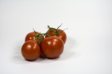 Strauchtomaten
