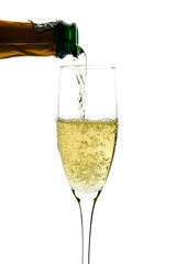  Champagne poured in to the glass (isolated on white background)