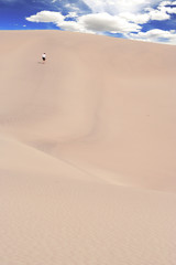 Dune