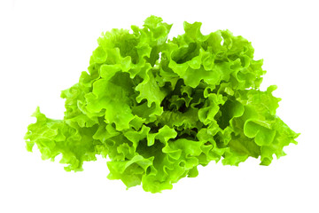 Bundle of lettuce.
