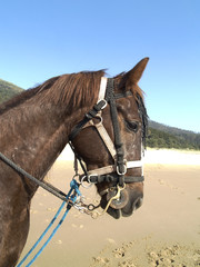 paseo por la playa