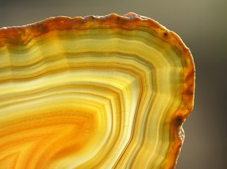 yellow agate slices - 5123322