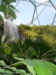 The Eden Project - Rainforest Biodome