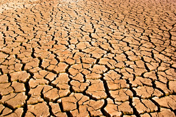 Cracked earth