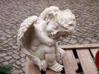 engel