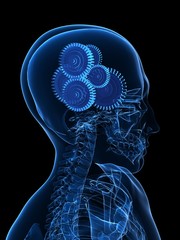 zahnr&auml;der im kopf