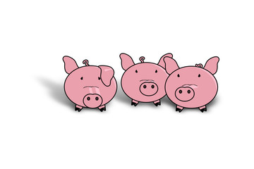 3 Schweine