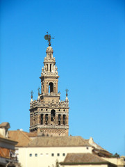 Fototapeta na wymiar La Giralda, Sevilla