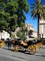 Coche de Caballos, Sevilla