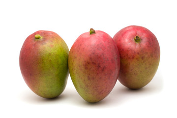 Mango isolated on white