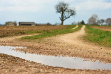 Fototapeta premium weg durch ackerland