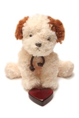 Greeting card - toy dog with heart in a box 05