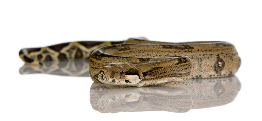  in front of a white background