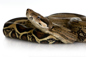  in front of a white background
