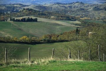 crete senesi