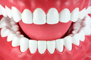 Fototapeta premium Close-up of a mouth with clean white teeth