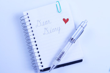 Dear Diary writen in pen