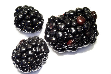 Blackberry 3 berries macro close-up with white background 1