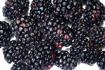 Blackberries with white background for background use 1