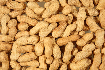 Roasted peanuts in shells.