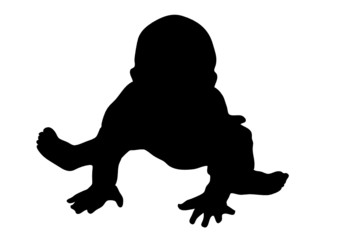 Obraz premium vector baby