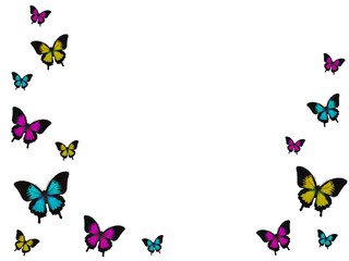 Butterfly Arrangment