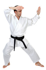 Martial arts stance