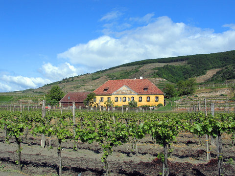Wachau j&ouml; schau