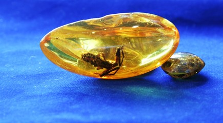 Ancient amber