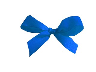 Blue bow