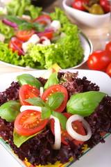 Fresh salad with onion, tomato and basil