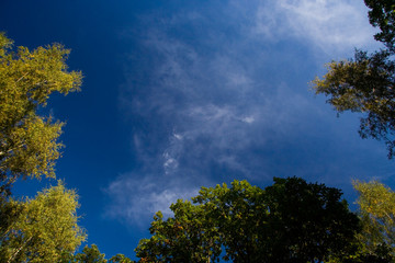 Obraz premium Fall blue sky