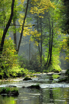 Sunlight shining through the green and yellow leaves of the trees that are on the banks of a slow moving river in Germany