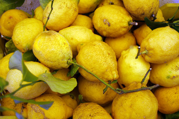 Zitronen, Sorrentinische Zitronen