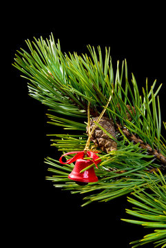  red campanula,Christmas tree ornaments.