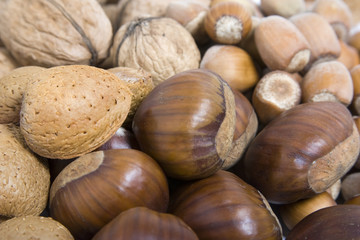 Assortiment de fruits secs