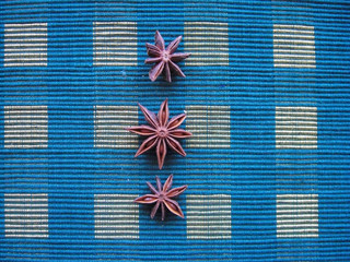 Sternanis © Brigitte Bohnhorst