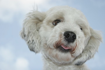 looking down from the sky