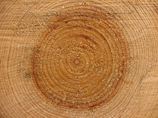 Naklejka premium Wood texture