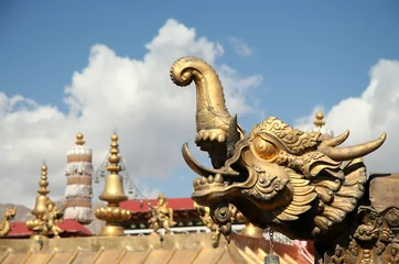 Golden dragon © Tatyana Tsibushok