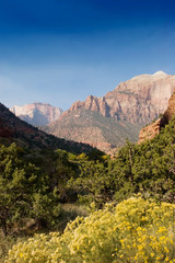 Fall Season in Zion National Park