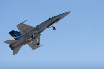 Fototapeta na wymiar F-18 Fighter Jet
