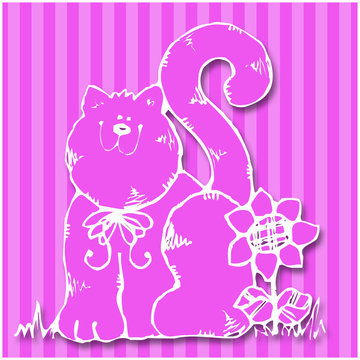 Katze