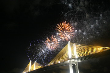 Ponte Newton Navarro