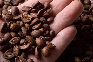 coffee