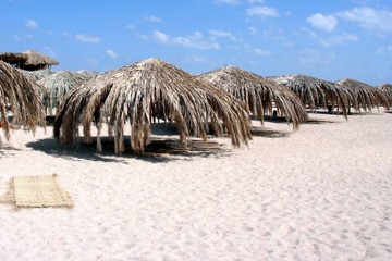 palm umbrellas on the beach