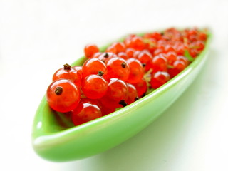 red currant on green 